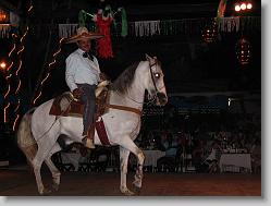 Charros - Mexican Cowboys and the dancing horses.