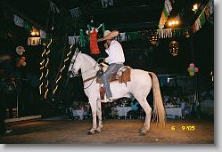 Dancing horse.