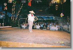 Lasso wrangling.