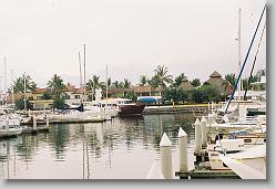 At the marina.