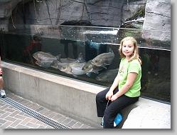Ciara and the fishes.