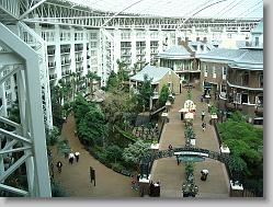 Delta Island atrium (view from the Convention Center).