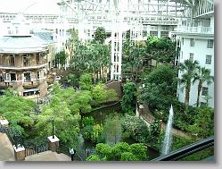 Delta Island atrium (view from the Convention Center).