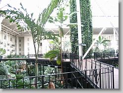 Conservatory atrium at the Gaylord Opryland hotel.