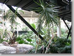 Conservatory atrium at the Gaylord Opryland hotel.