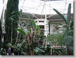 Conservatory atrium at the Gaylord Opryland hotel.