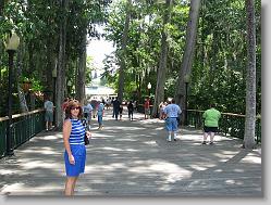 Silver Springs