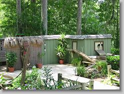 Bird show!