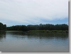 Looking up the creek.