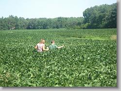 Out in the fields.
