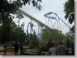 Loch Ness Monster, Alpengeist and Griffen roller coasters at Busch Gardens.