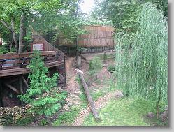 Wolf habitat.