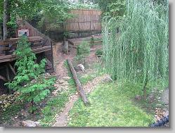 Wolf Habitat.