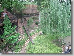 Wolf Habitat at Busch Gardens.