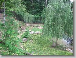 Wolf habitat.