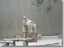 Wolf Show.