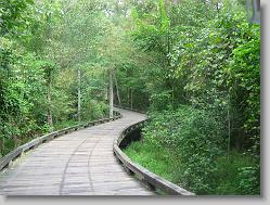 Bridge to 12th hole, I think.  Beautiful course.