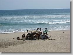 Horse corral down on the beach.
