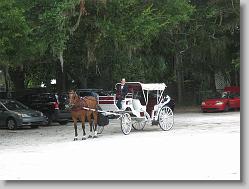 Carriage awaiting bride and groom (at Fountain of Youth).