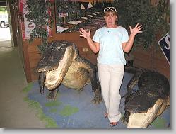 Ciara and gators