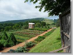 Gardens at Monticello