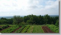 Gardens at Monticello