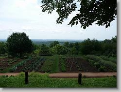 Looking out over Shenandoah Valley.

http://www.shenandoahvalley.com/