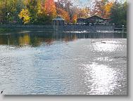 Lake Susan at Montreat.