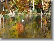 Lake Susan in Montreat.