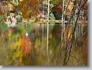 Lake Susan in Montreat.