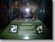 Ripley's 'Believe it or Not!' museum