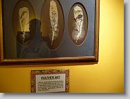 Ripley's 'Believe it or Not!' museum