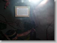 Ripley's 'Believe it or Not!' museum