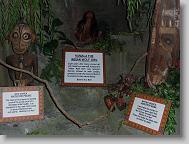 Ripley's 'Believe it or Not!' museum